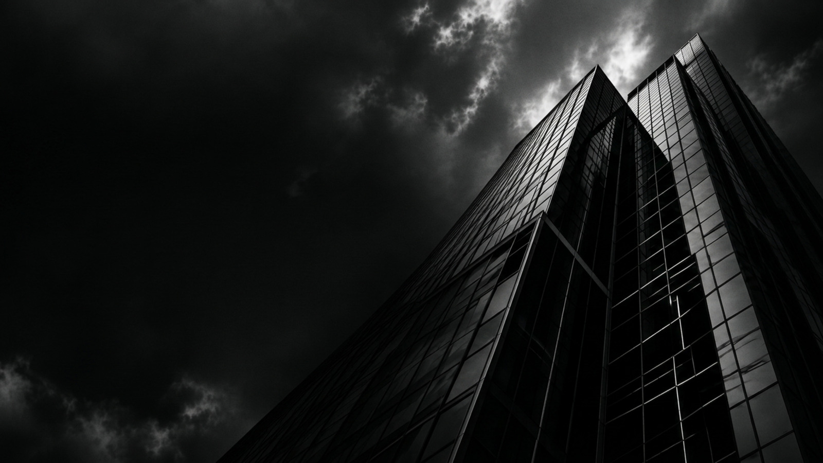 Severus Holdings LLC — Website Design & Long-Term Management